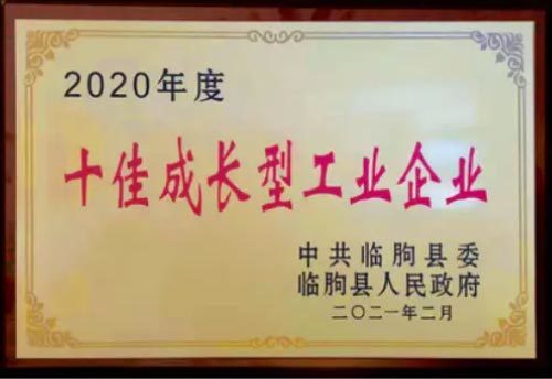 十佳成长型工业企业